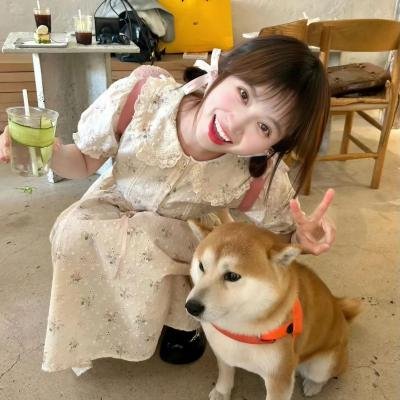 爱情快递 在线观看