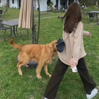 舞林大会