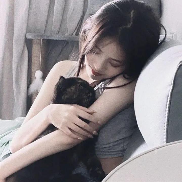南北大状 在线观看